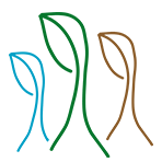 Cannabis Club Verband